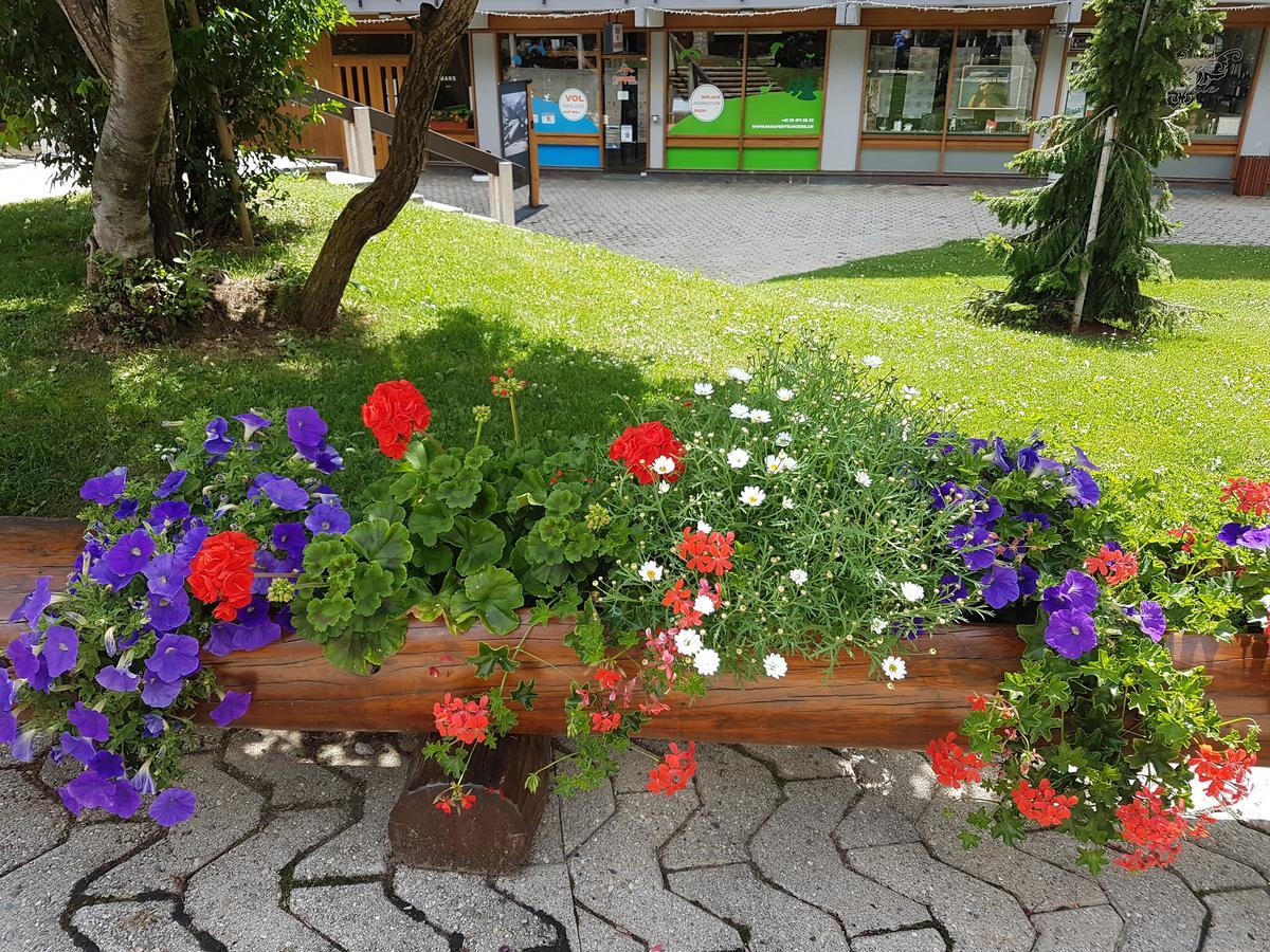 Holidays Groupes Анзер Экстерьер фото